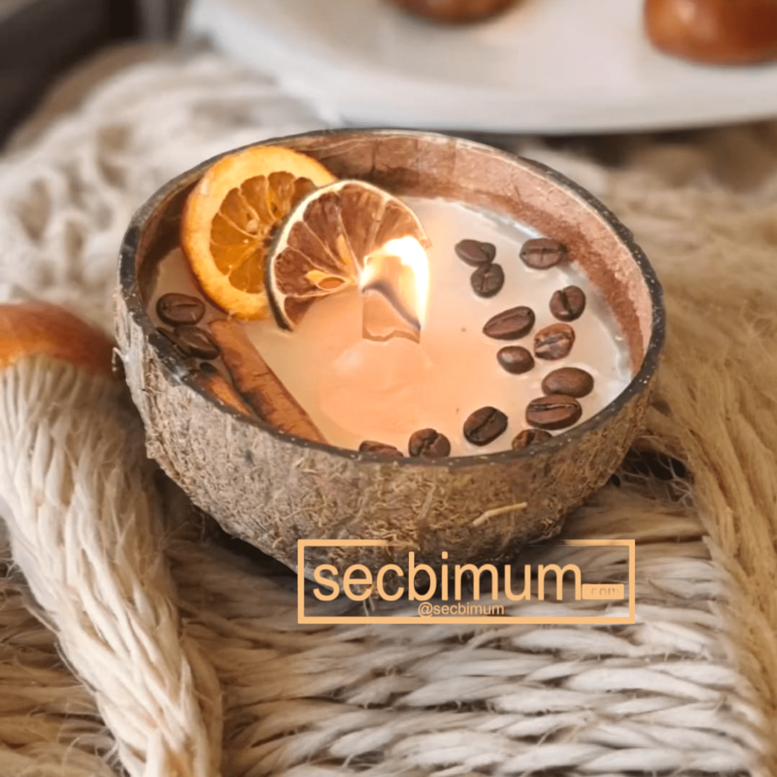 COCUNUT resmi